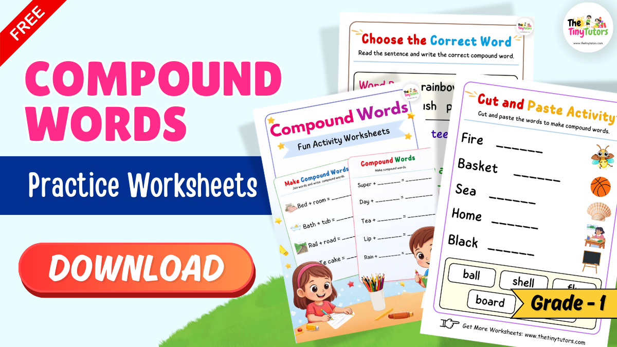 compound words grade 1 Download free printable pdf for kids with fun activities